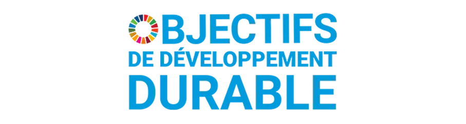 logo-objectifs-de-developpement-durable